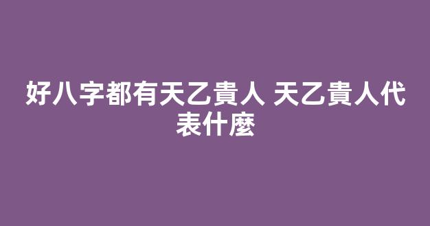 好八字都有天乙貴人 天乙貴人代表什麼